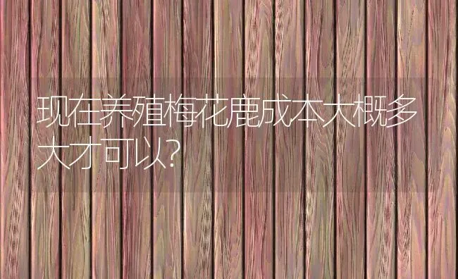 现在养殖梅花鹿成本大概多大才可以？ | 动物养殖百科