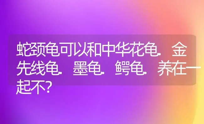 蛇颈龟可以和中华花龟.金先线龟.墨龟.鳄龟.养在一起不？ | 动物养殖问答