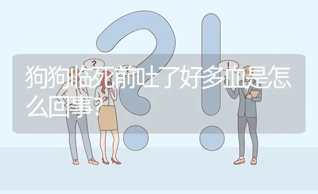 狗狗临死前吐了好多血是怎么回事？ | 动物养殖问答