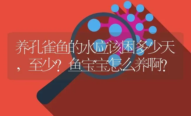 养孔雀鱼的水应该困多少天，至少?鱼宝宝怎么养啊？ | 鱼类宠物饲养