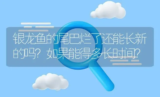 银龙鱼的尾巴烂了还能长新的吗？如果能得多长时间？ | 鱼类宠物饲养