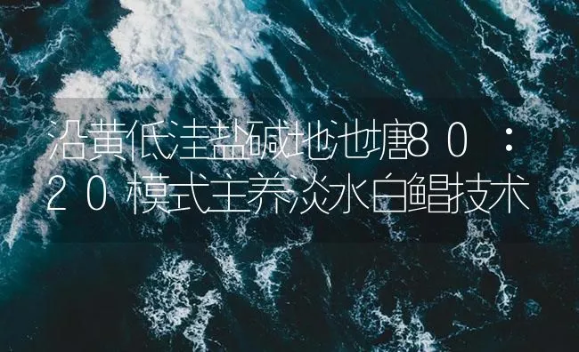 沿黄低洼盐碱地池塘80∶20模式主养淡水白鲳技术 | 海水养殖技术