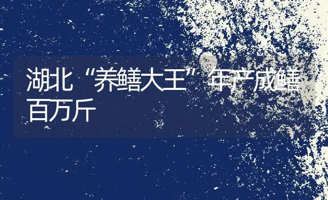 湖北“养鳝大王”年产成鳝百万斤 | 动物养殖百科