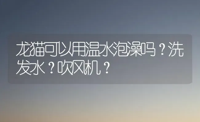 龙猫可以用温水泡澡吗？洗发水？吹风机？ | 动物养殖问答