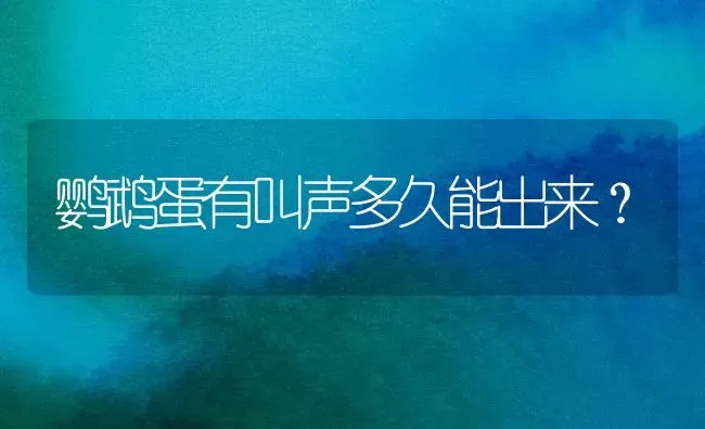 鹦鹉蛋有叫声多久能出来？ | 动物养殖问答