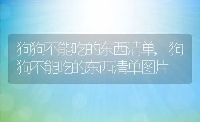 狗狗不能吃的东西清单,狗狗不能吃的东西清单图片 | 宠物百科知识