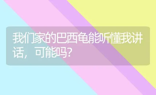 两个月的拉布拉多可以喂成犬狗粮吗？ | 动物养殖问答