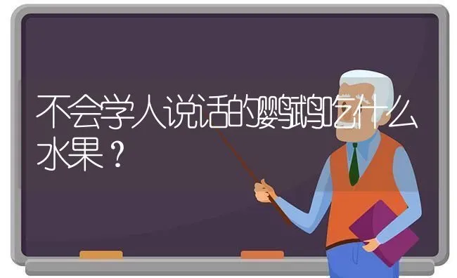 不会学人说话的鹦鹉吃什么水果？ | 动物养殖问答