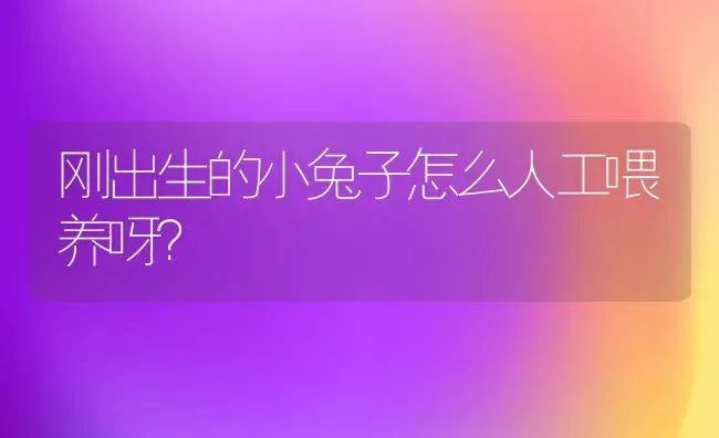 狗狗嗓子为什么有时会“咔咔”的响？ | 动物养殖问答