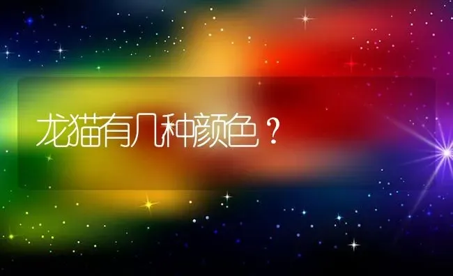 龙猫有几种颜色？ | 动物养殖问答