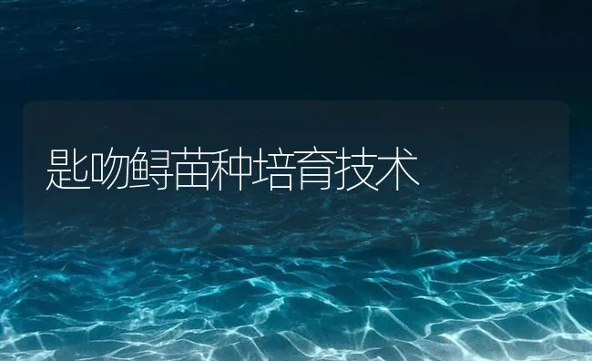 匙吻鲟苗种培育技术 | 海水养殖技术