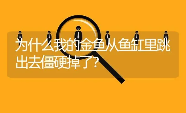 为什么我的金鱼从鱼缸里跳出去僵硬掉了？ | 鱼类宠物饲养