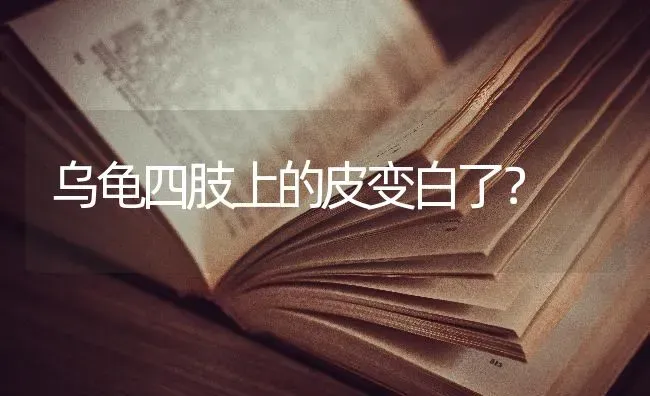 乌龟四肢上的皮变白了？ | 动物养殖问答