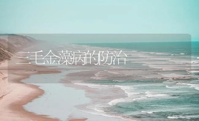 三毛金藻病的防治 | 海水养殖技术