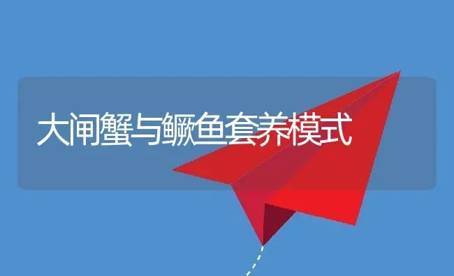 大闸蟹与鳜鱼套养模式 | 动物养殖教程