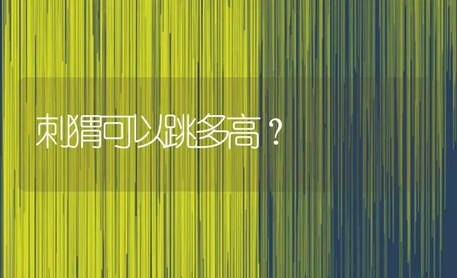 一只紫仓仓鼠宝宝好养吗？ | 动物养殖问答