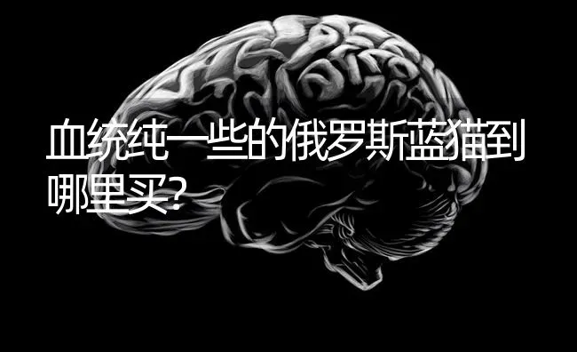 卡斯罗犬看家护院怎么样?好养吗？ | 动物养殖问答