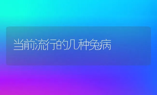 当前流行的几种兔病 | 水产养殖知识