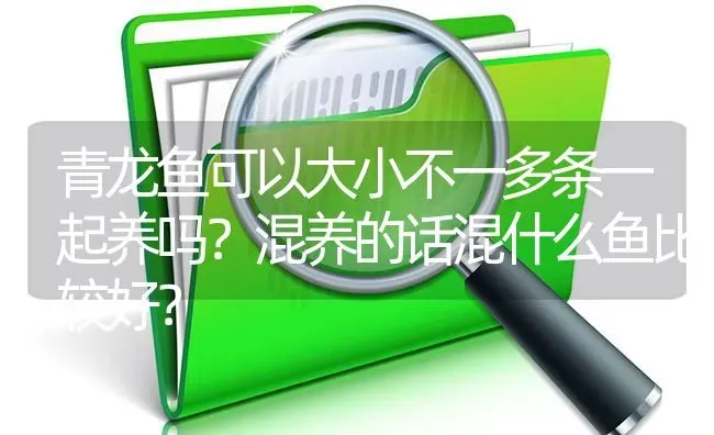 青龙鱼可以大小不一多条一起养吗？混养的话混什么鱼比较好？ | 鱼类宠物饲养