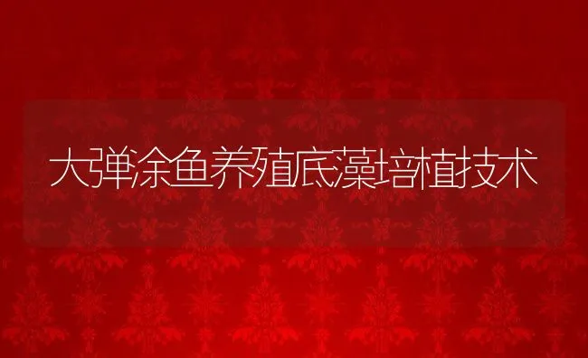 大弹涂鱼养殖底藻培植技术 | 水产养殖知识