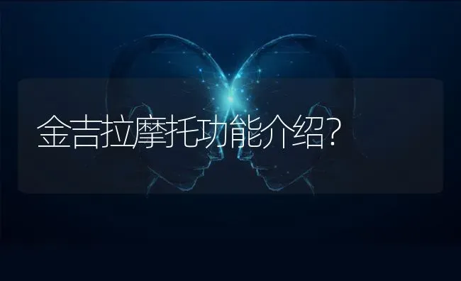 金吉拉摩托功能介绍？ | 动物养殖问答