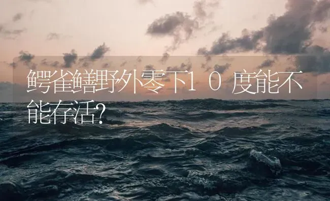 鳄雀鳝野外零下10度能不能存活？ | 鱼类宠物饲养