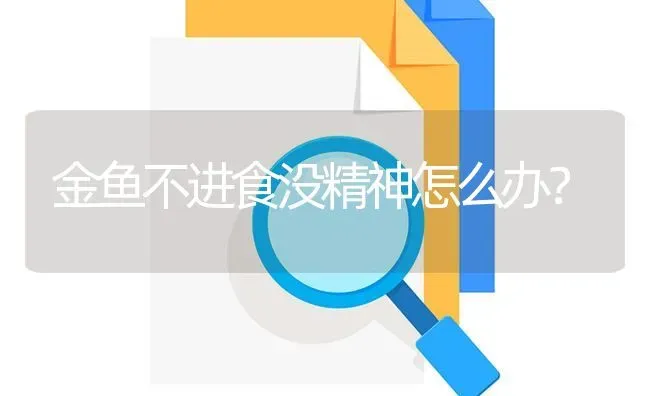 金鱼不进食没精神怎么办？ | 鱼类宠物饲养