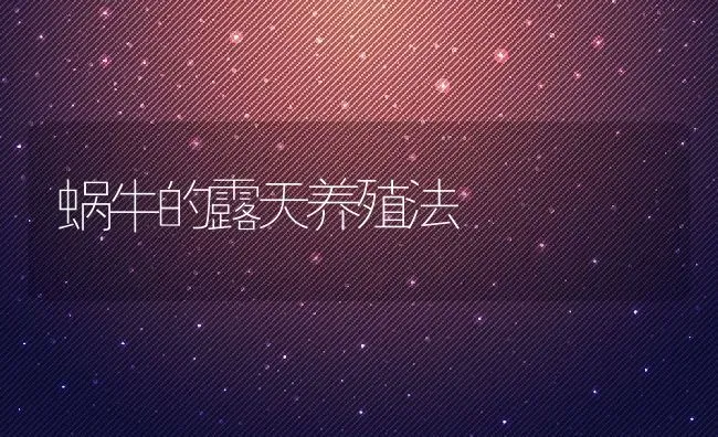 蜗牛的露天养殖法 | 动物养殖教程