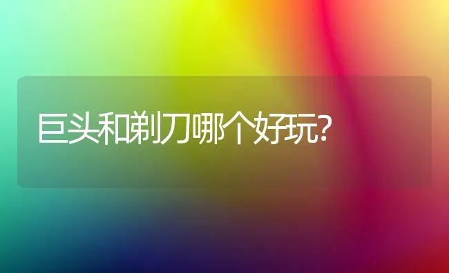 巨头和剃刀哪个好玩？ | 动物养殖问答