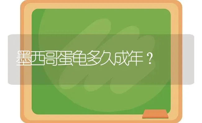 墨西哥蛋龟多久成年？ | 动物养殖问答