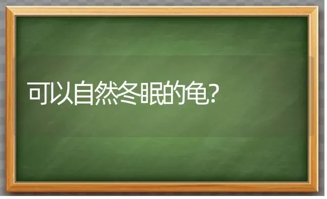 可以自然冬眠的龟？ | 动物养殖问答