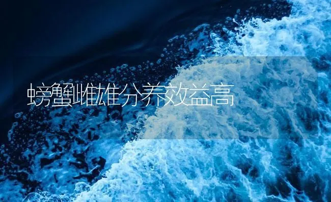 螃蟹雌雄分养效益高 | 海水养殖技术