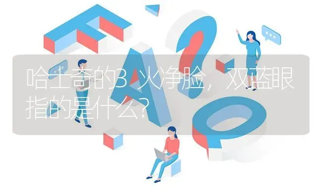 哈士奇的3火净脸，双蓝眼指的是什么？ | 动物养殖问答