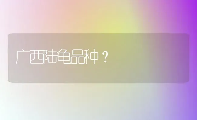 肖战坚果是什么品种？ | 动物养殖问答