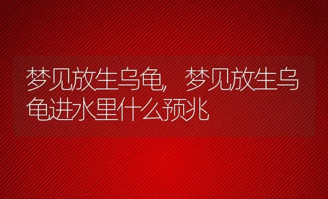 梦见放生乌龟,梦见放生乌龟进水里什么预兆 | 宠物百科知识