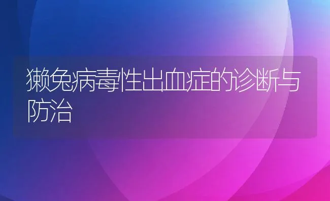 獭兔病毒性出血症的诊断与防治 | 动物养殖学堂