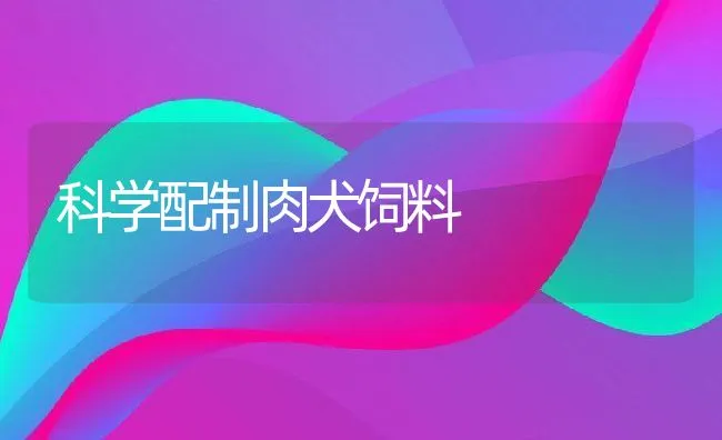 科学配制肉犬饲料 | 动物养殖饲料