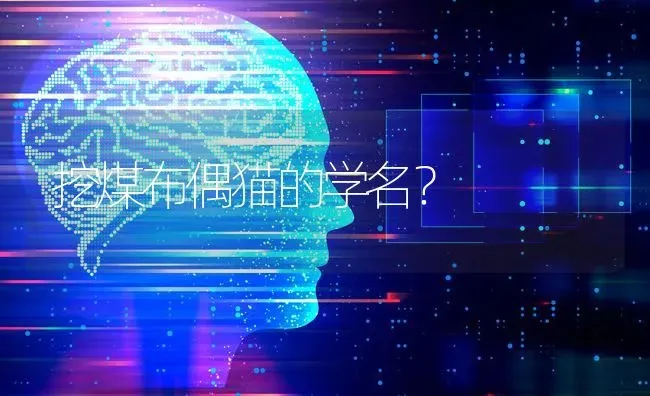 哈士奇最讨厌什么东西？ | 动物养殖问答