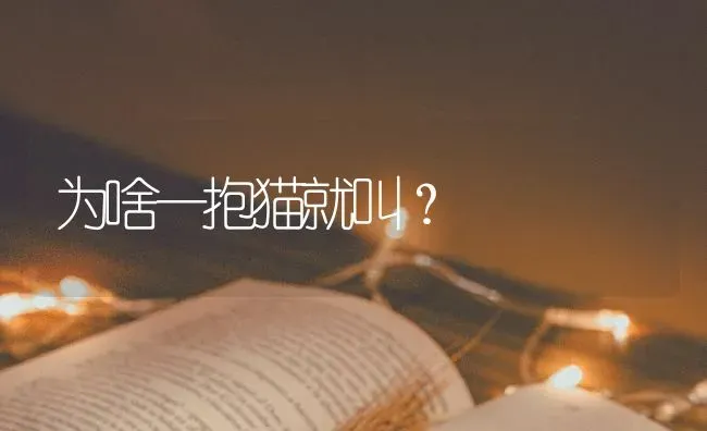 为啥一抱猫就叫？ | 动物养殖问答