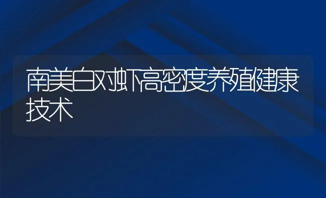 南美白对虾高密度养殖健康技术 | 动物养殖饲料