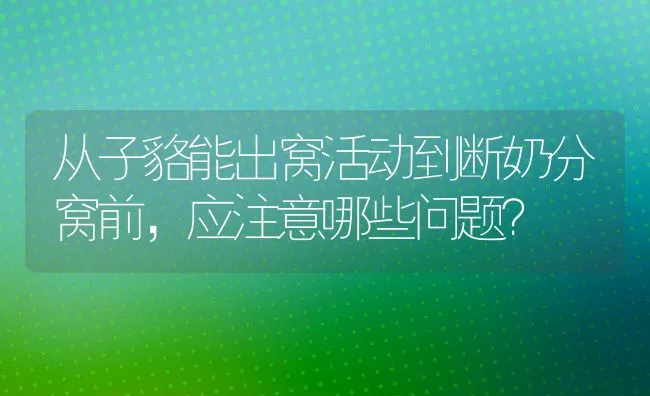 从子貉能出窝活动到断奶分窝前，应注意哪些问题？ | 水产养殖知识