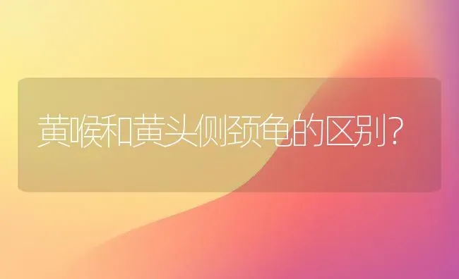 黄喉和黄头侧颈龟的区别？ | 动物养殖问答