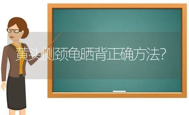 黄头侧颈龟晒背正确方法？ | 动物养殖问答