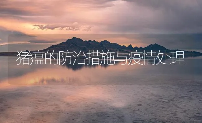 加州鲈鱼网箱养殖技术 | 海水养殖技术