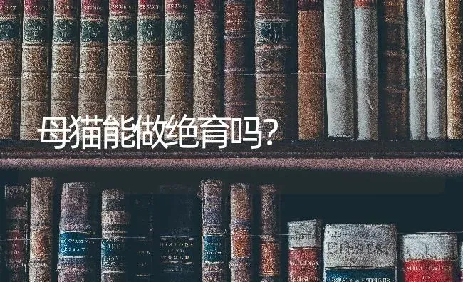 母猫能做绝育吗？ | 动物养殖问答