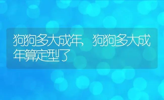 狗狗多大成年,狗狗多大成年算定型了 | 宠物百科知识