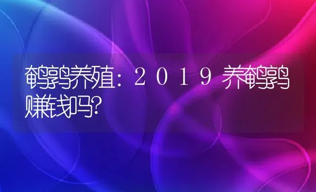 鹌鹑养殖：2019养鹌鹑赚钱吗? | 动物养殖百科