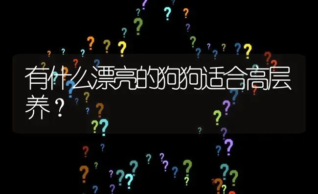 比熊可以吃鸭蛋吗？ | 动物养殖问答