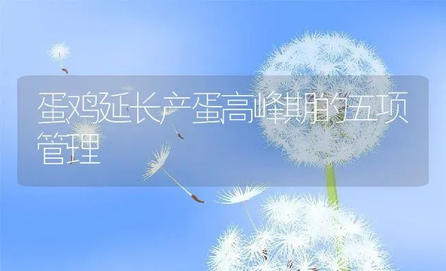 蛋鸡延长产蛋高峰期的五项管理 | 动物养殖百科