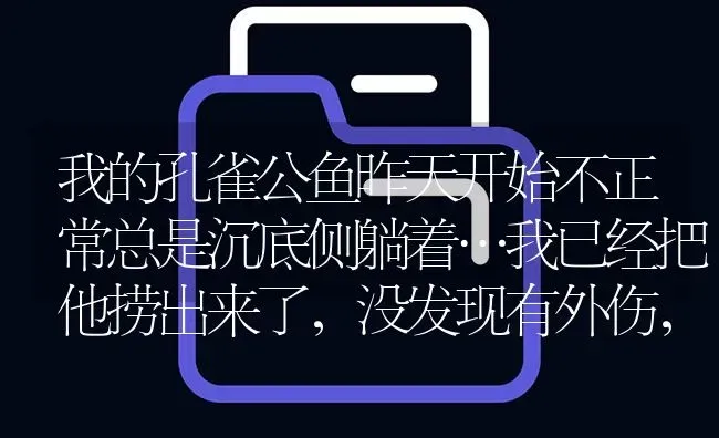 我的孔雀公鱼昨天开始不正常总是沉底侧躺着…我已经把他捞出来了，没发现有外伤，针尾，躺一会游一会儿的？ | 鱼类宠物饲养